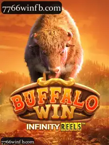 BuffaloWin